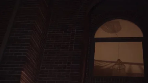 Police lights on window of house Stock Footage 196063501
