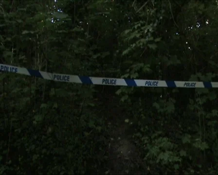 Police line dark Video stock 666883