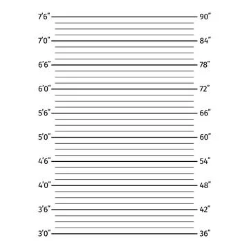 Police lineup height chart backdrop for mugshot photography Stock Illustration