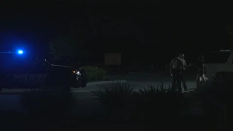 Police Making A DUI Arrest Stock Footage 133606764