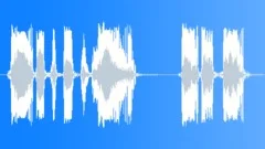 Police / Military Radio Message: to All Officers... 10-04! Male Voice Signal, V2Sound Effect
