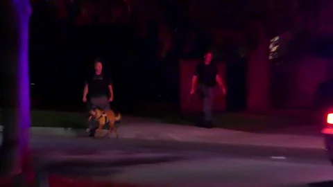 Police Officers With K9 Dog Walking Through Dark Residential Street Stock Footage