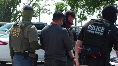 Police Officers processing handcuffed illegal worker Stock Footage 334177058