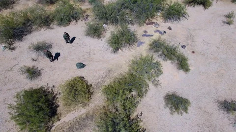 Police patrol along US border Stock-Footage 63629341