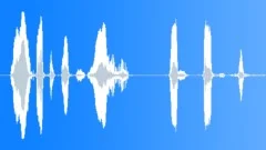 Police Radio Message, To All Officers In The Area 10-23, Voice Signal, MaleSound Effect