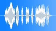 Police Radio Message: to All Officers in the Area! Male Voice Signal, V1Sound Effect