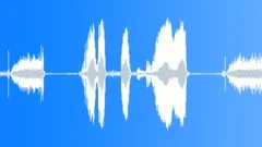 Police Radio Message: To All Officers in the Area! Static Noise, Male VoiceSound Effect
