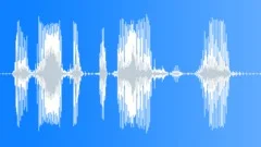 Police Radio Message: We Have a Situation Here! Male Voice Signal, V2Sound Effect