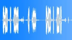 Police Radio Message: We Have Fatalities, Repeat, ...! Male Voice SignalSound Effect