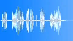 POLICE, RADIO Sound Effect