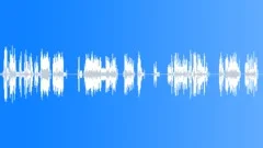 POLICE, RADIO Sound Effect