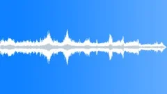 POLICE, RADIO Sound Effect