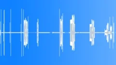 POLICE, RADIOSound Effect