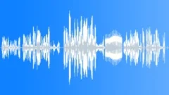 Police RadioSound Effect