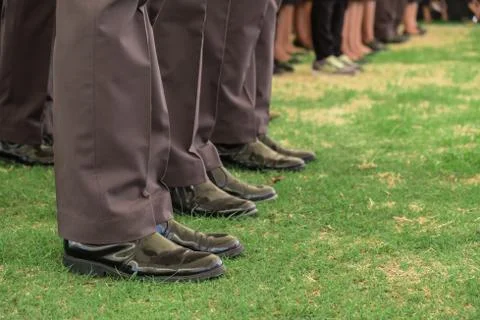 Police row Stock Photos