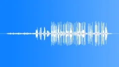 POLICE, SCENE Sound Effect