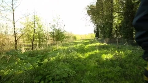 Police search for missing author Helen Bailey - GVs Stock Footage 149135229