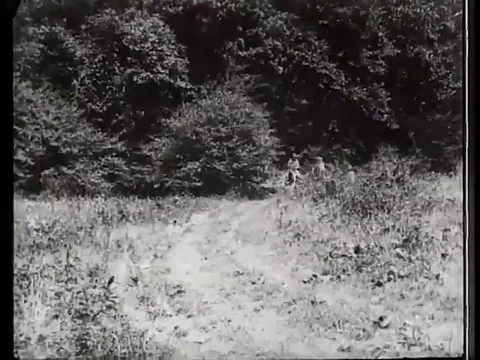 Police Sheriff chase the gang members running in the forests - 1905 Stock Footage