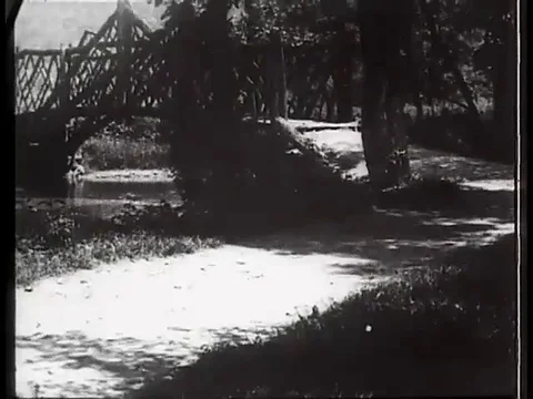 Police Sheriff chase the gang members running in the forests - 1905 Stock Footage