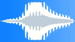 Police siren, hi-lo type, passing by. Sound Effect