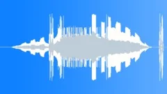Police Siren HiLo TypeSound Effect