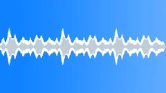 POLICE, SIREN Sound Effect