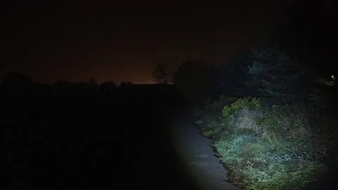 Police Spotlight Search Missing Persons At Night Stock Footage 153561579