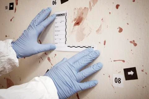 Police technician documenting evidences on crime scene Stock Photos