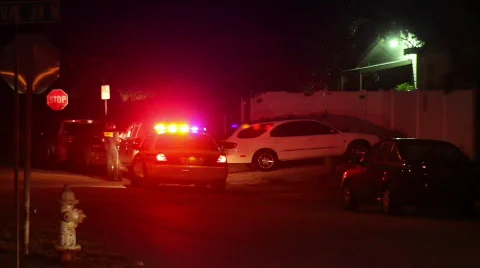 Police Traffic Stop Video stock 599750