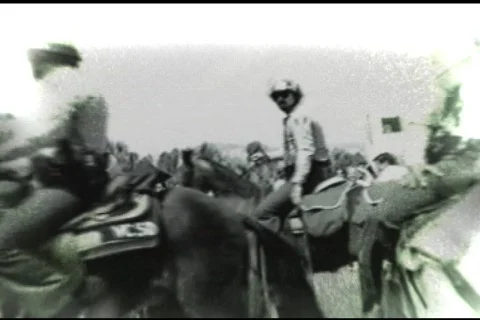 Police17 Stock Footage 129406