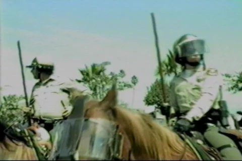 Police24 Stock Footage 129424