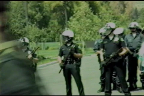 Police5 Stock Footage 129451