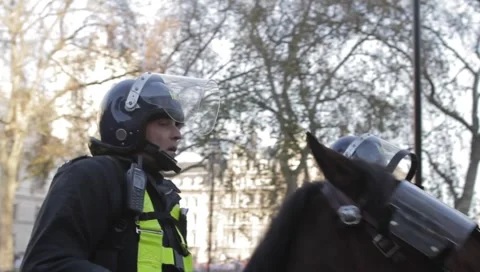 Policeman on Horseback Medium Shot Stock Footage