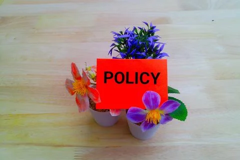 Policy concept  库存照片