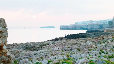 Polignano a Mare landscape Video stock 229391248