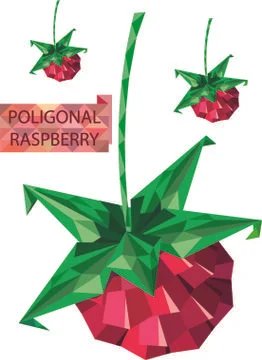 Poligonal Vector Raspberry Image Stock-Illustration
