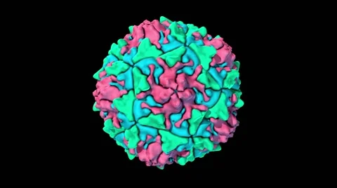Poliovirus, animation Stock Footage 64822543