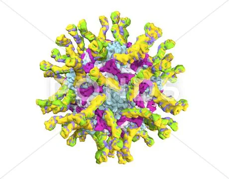Poliovirus particle Stock Illustration