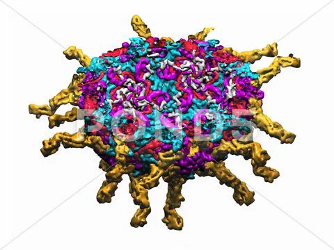 Poliovirus particle, molecular model Stock Illustration