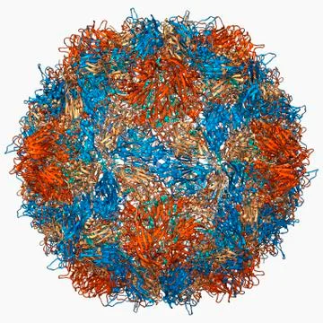 Poliovirus type 3 capsid, molecular model Stock Illustration