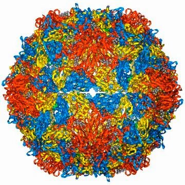 Poliovirus type 3 capsid, molecular model Stock Illustration