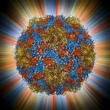 Poliovirus type 3 capsid, molecular model Stock Illustration