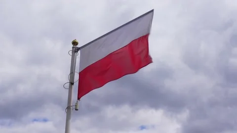 Polish banner wave on the background of cloudy, dramatic sky. Stock-Footage 183304089