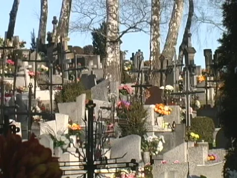Polish cemetary Stock Footage 566639