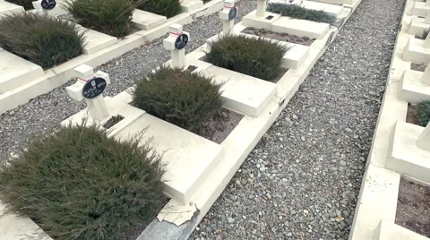 Polish Cemetery in Lviv Stock Footage 62203217