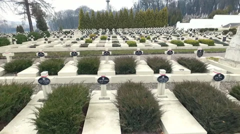 Polish Cemetery in Lviv Stock Footage 62263940