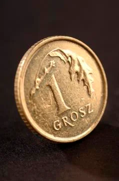 Polish coin on a black background 스톡 사진