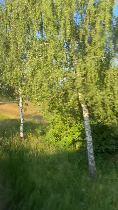 Polish Farmland Passing By From Bus Window Stock Footage 337937206