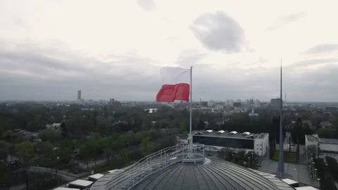 Polish Flag 4K 動画素材 155131934