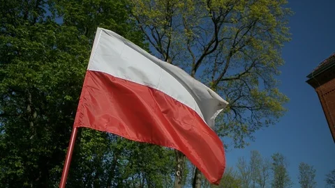 Polish flag close up waving on wind Stock Footage 107239496